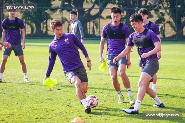网传判决披露足坛黑幕:深足旧将杨博宇曾被牟善韬诱使参与假球 网传判决披露足坛黑幕:深足旧将杨博宇曾被牟善韬诱使参与假球