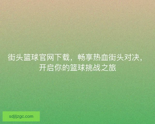 街头篮球官网下载，畅享热血街头对决，开启你的篮球挑战之旅
