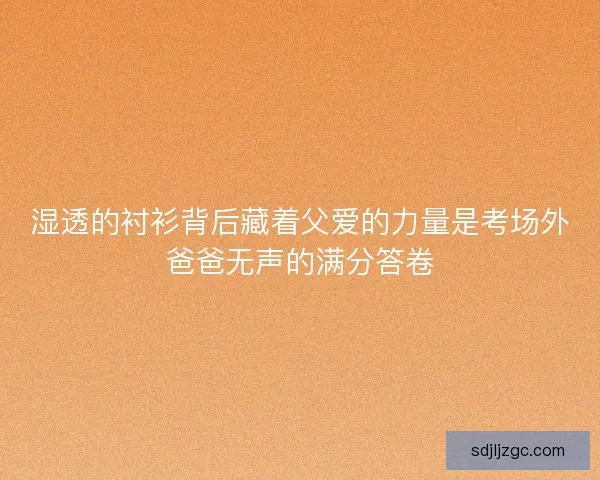湿透的衬衫背后藏着父爱的力量是考场外爸爸无声的满分答卷