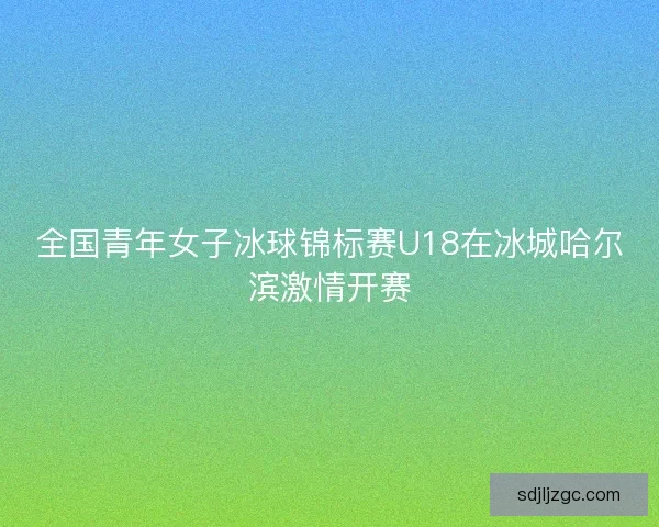 全国青年女子冰球锦标赛U18在冰城哈尔滨激情开赛