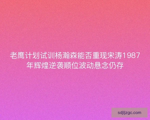老鹰计划试训杨瀚森能否重现宋涛1987年辉煌逆袭顺位波动悬念仍存