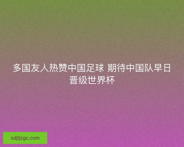 多国友人热赞中国足球 期待中国队早日晋级世界杯