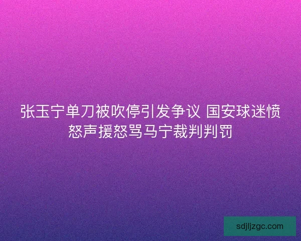 张玉宁单刀被吹停引发争议 国安球迷愤怒声援怒骂马宁裁判判罚